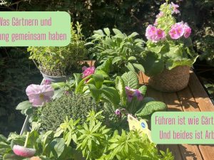 Führen wie ein Gärtner – 7 Prinzipien für gute Führung
